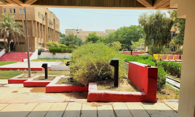 Creating an Outdoor Space with a Tiny House