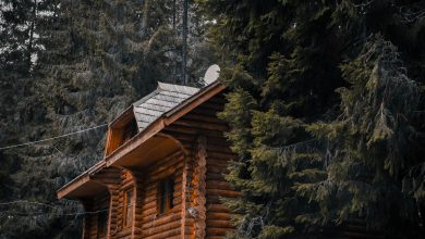 Tiny House Travel: Best Routes and Destinations