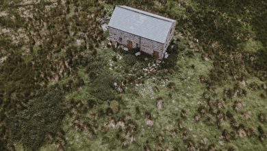 Inspiring Tiny House Success Stories to Motivate You