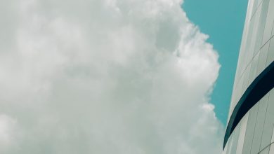 How to Choose: Ultimate Tiny House Guide 2024 – Expert Tips