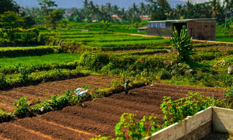 Sustainable Living Practices: Ultimate Guide 2024 – Expert Tips