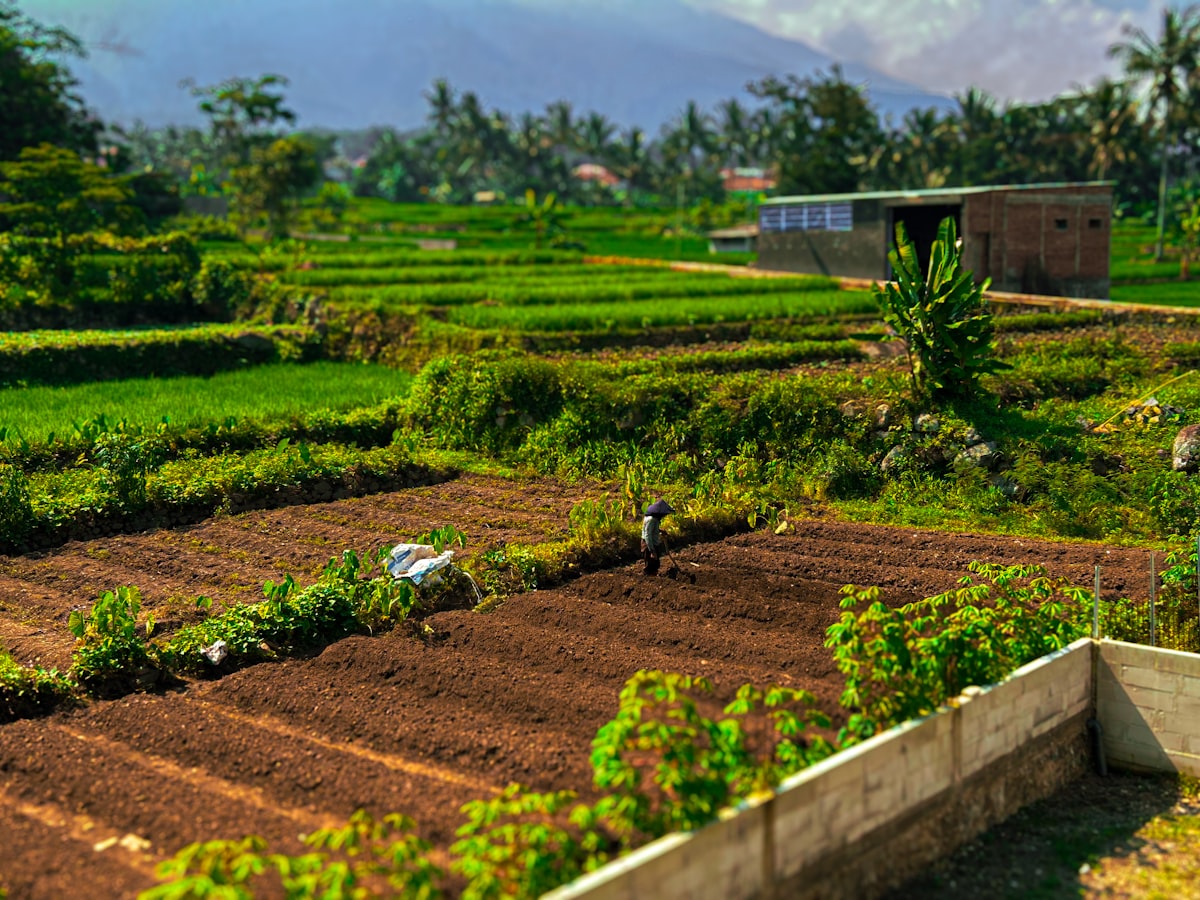 Sustainable Living Practices: Ultimate Guide 2024 – Expert Tips